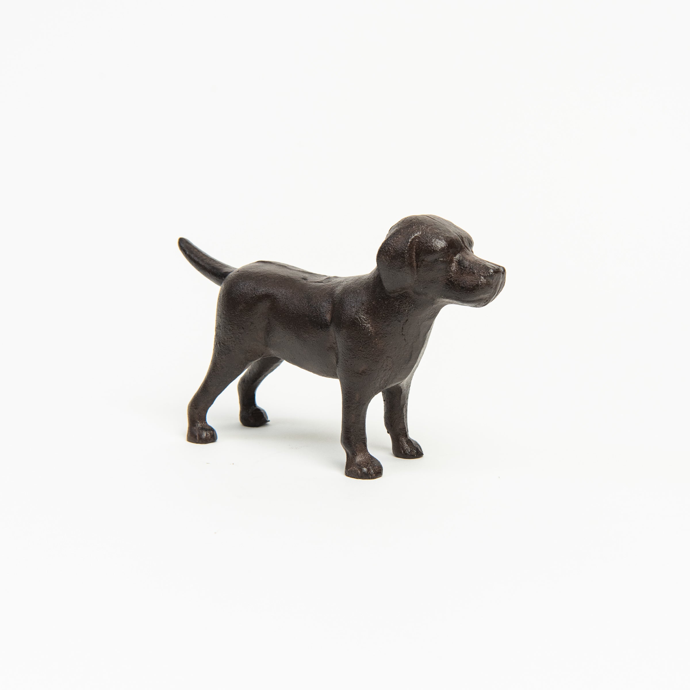 Cast Iron Lab in Chocolate on a white background at Addison West