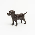 Cast Iron Lab in Chocolate on a white background at Addison West