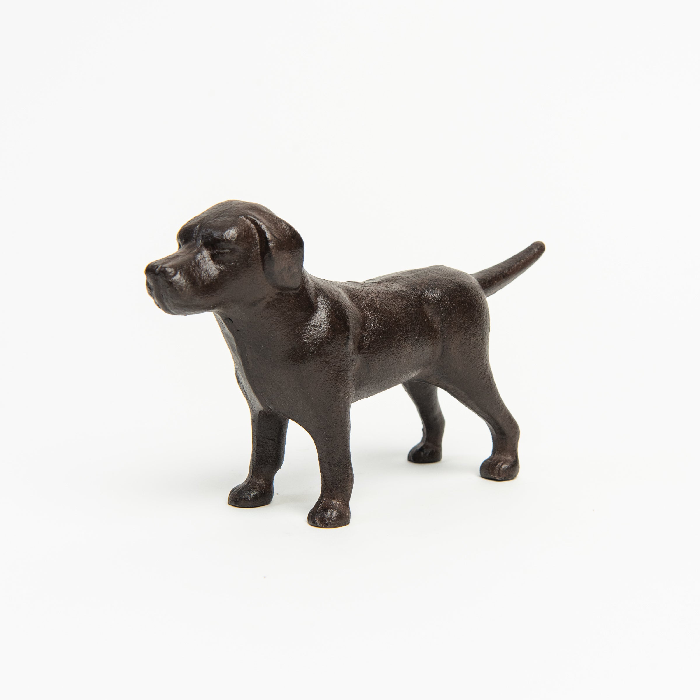 Cast Iron Lab in Chocolate on a white background at Addison West