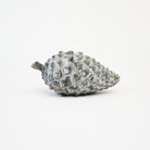 Cement Pinecone on a white background at Addison West