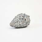 Cement Pinecone on a white background at Addison West