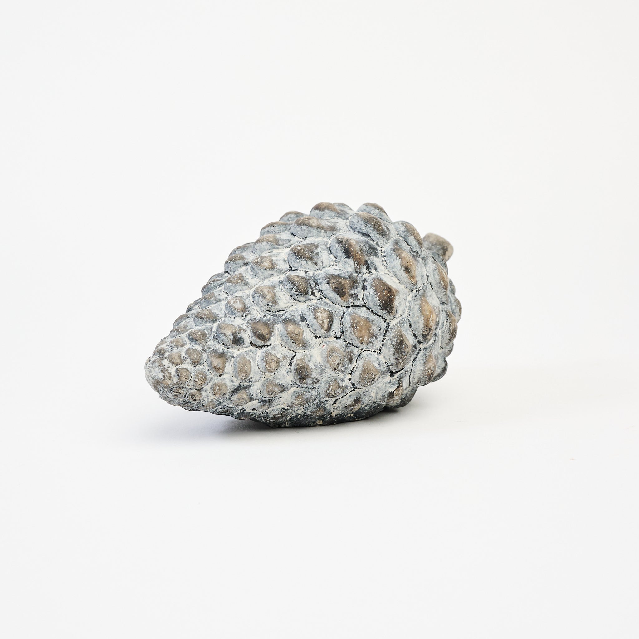 Cement Pinecone on a white background at Addison West