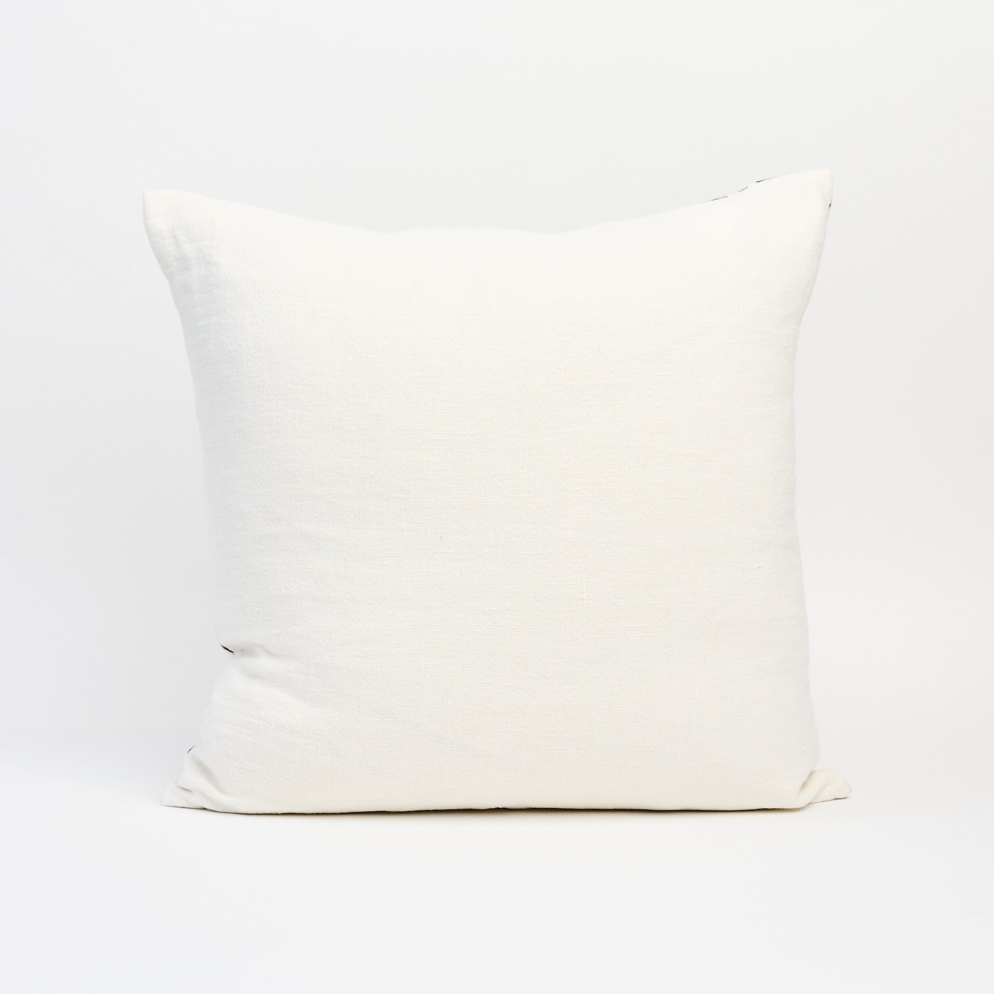 Chiraya Pillow 20" x 20" on a white background at Addison West