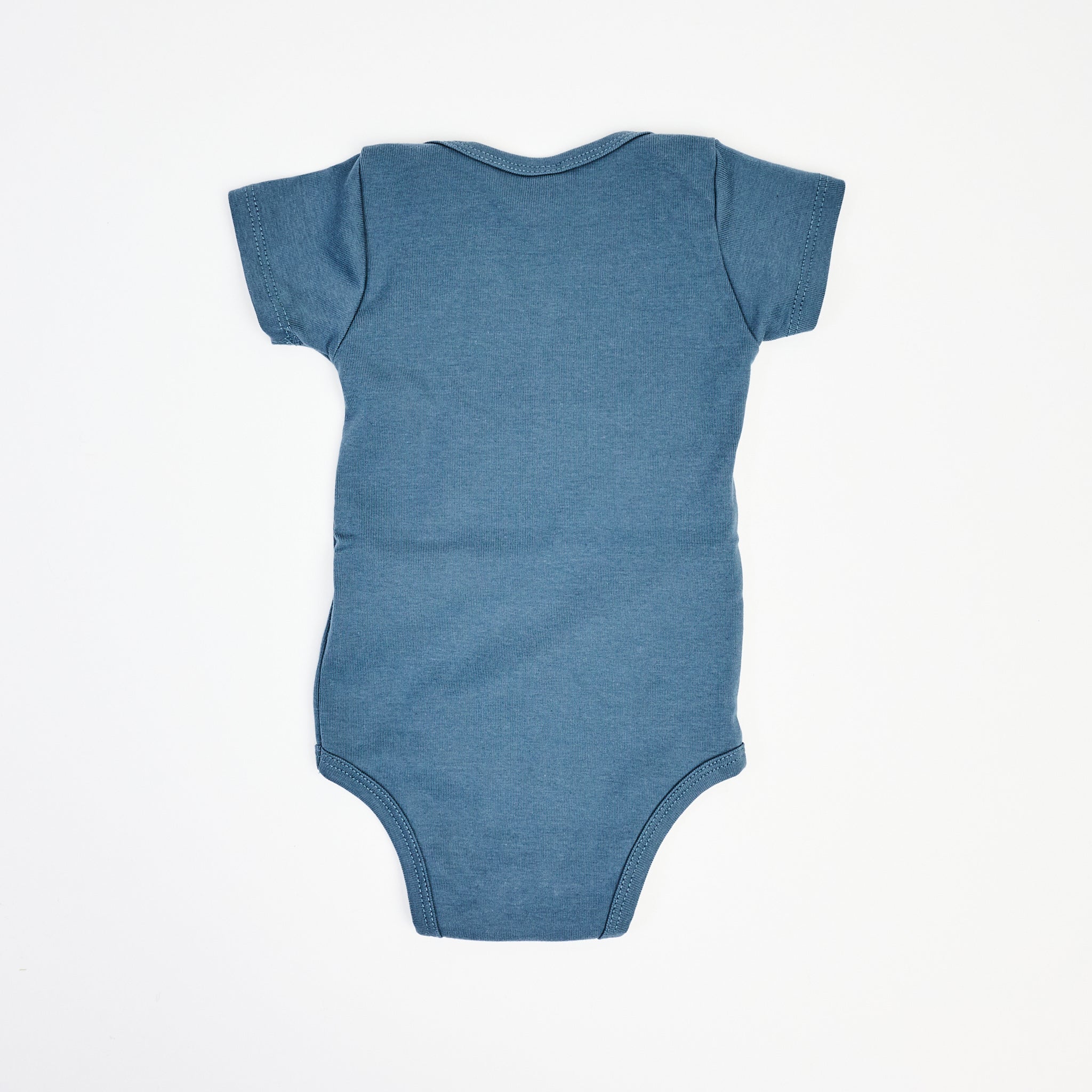 Vermont Baby Blue Bodysuit in Camp on a white background at Addison West