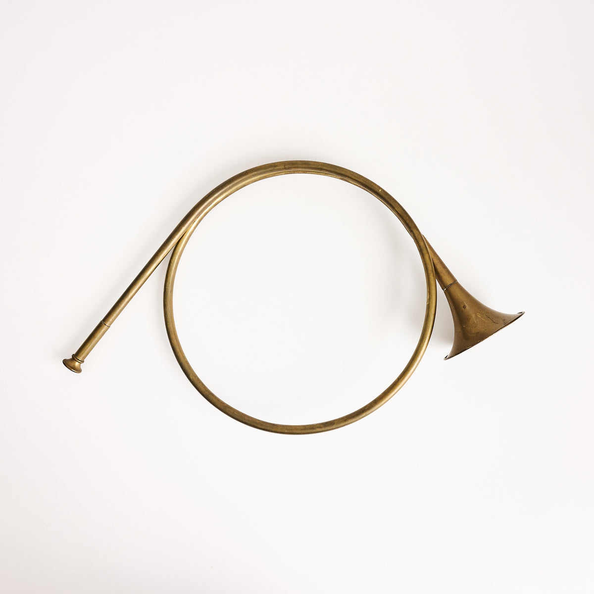 Vintage Brass French Horn on a white background at Addison West