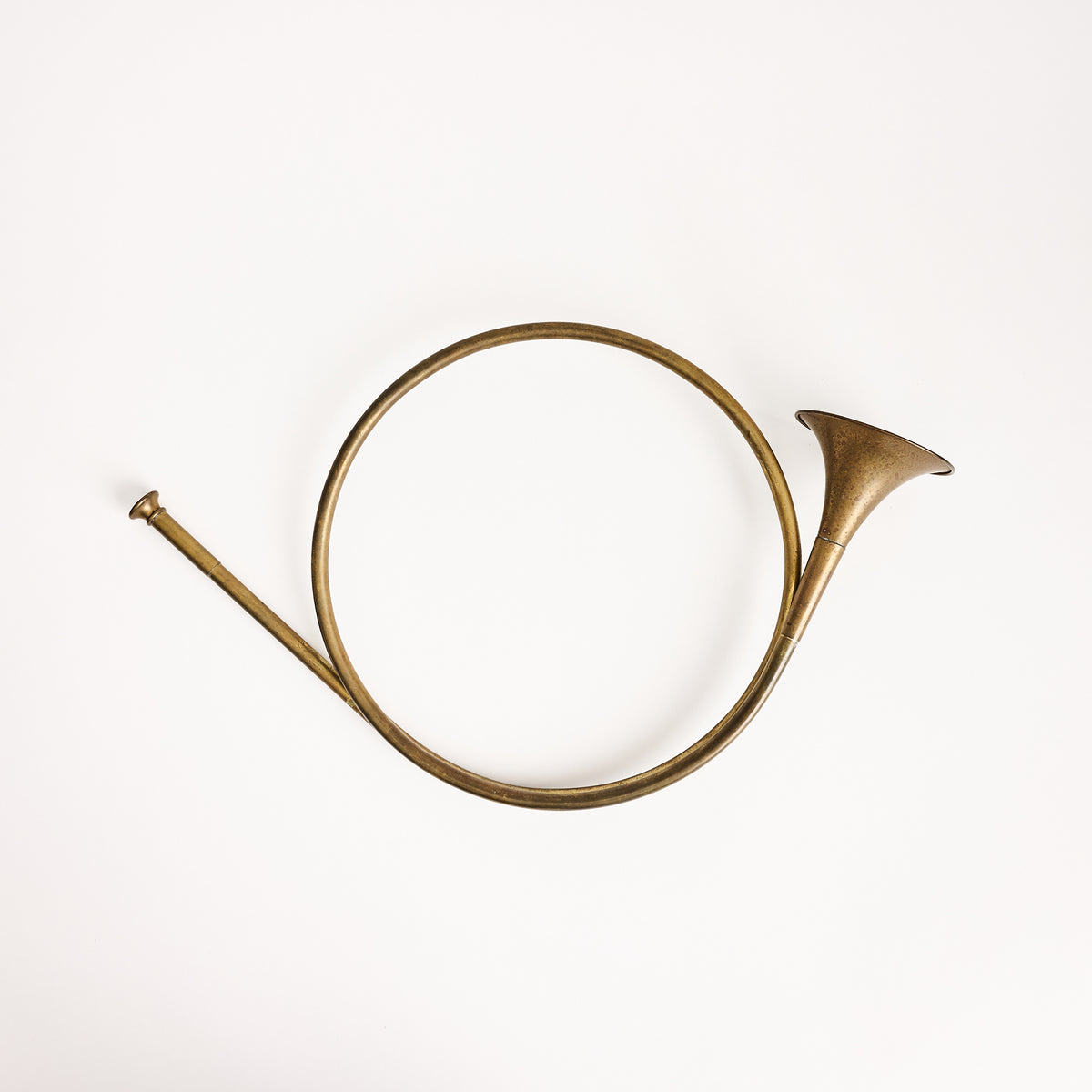 Vintage Brass French Horn on a white background at Addison West