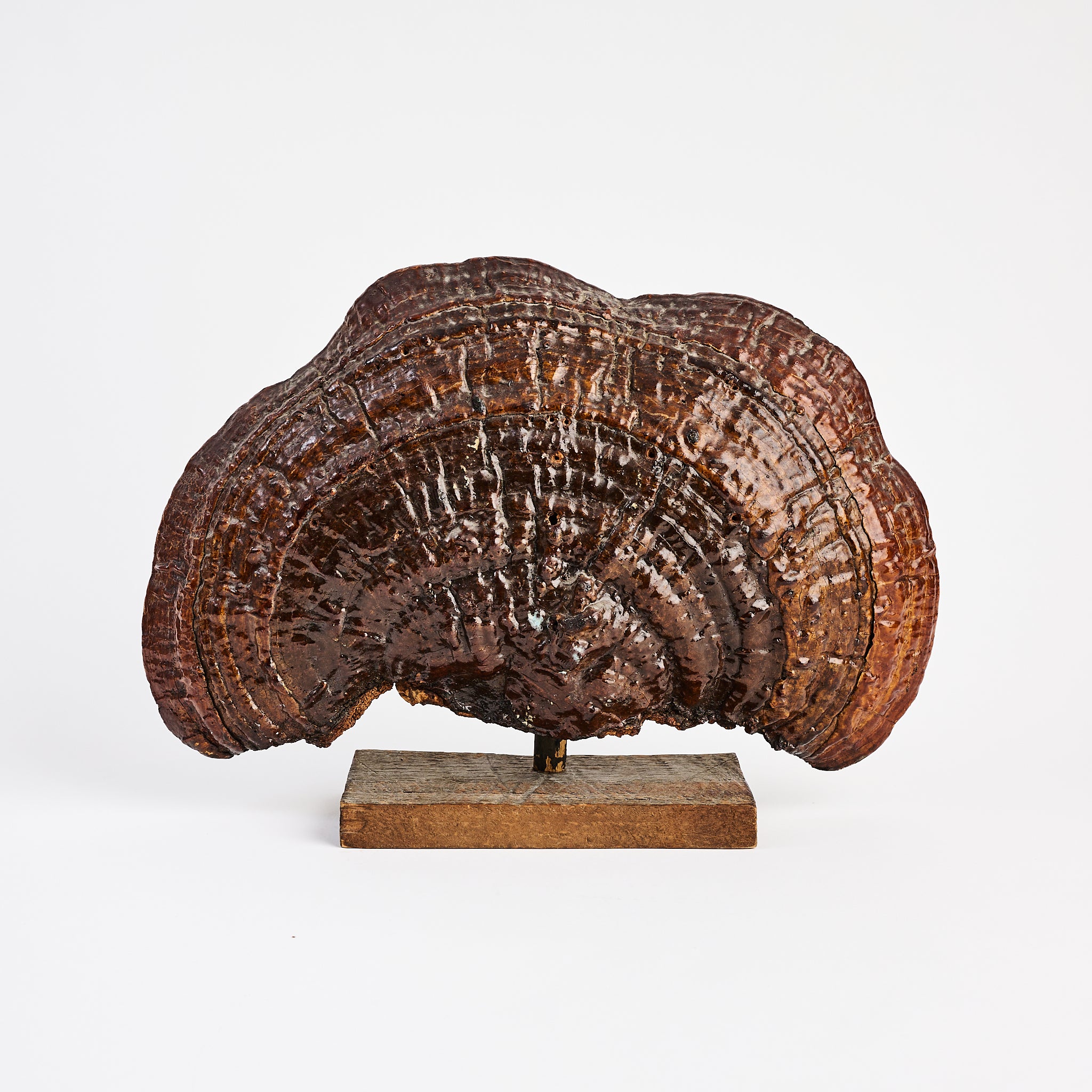 Vintage Folk Art Painted Burl on a white background at Addison West