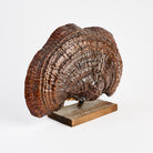 Vintage Folk Art Painted Burl on a white background at Addison West