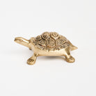Brass Turtle Bottle Opener on a white background at Addison West