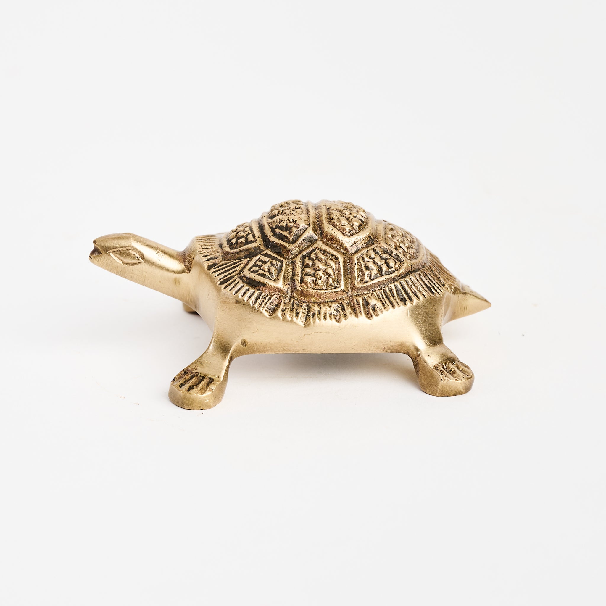 Brass Turtle Bottle Opener on a white background at Addison West