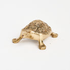Brass Turtle Bottle Opener on a white background at Addison West