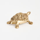 Brass Turtle Bottle Opener on a white background at Addison West