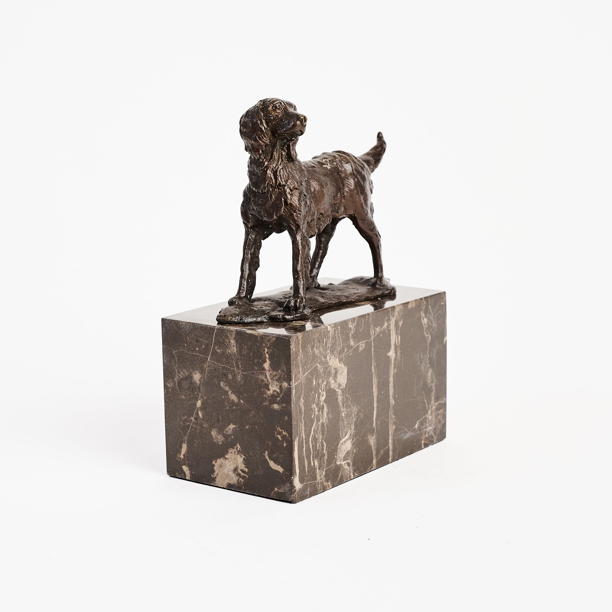 Bronze Dog Statue on Marble Block on a white background at Addison West