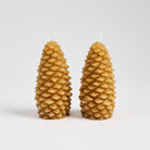 Pinecone Beeswax Candle in Natural on a white background at Addison West