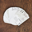 Ski the States Playing Cards on a wood table at Addison West