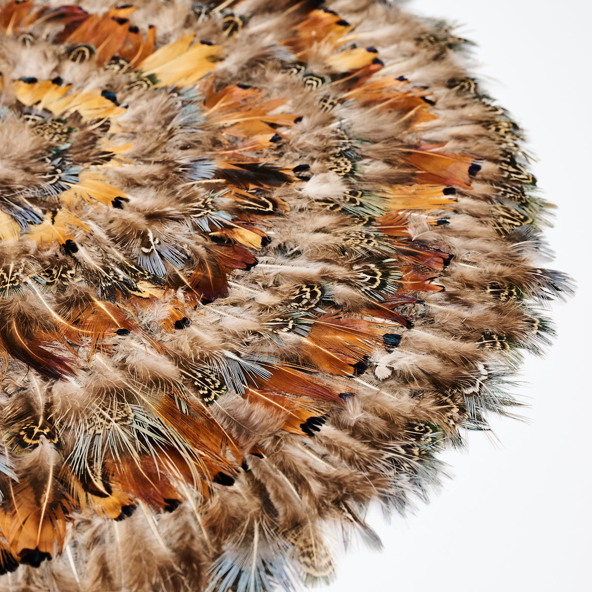 Pheasant Feather Placemat on a white background at Addison West