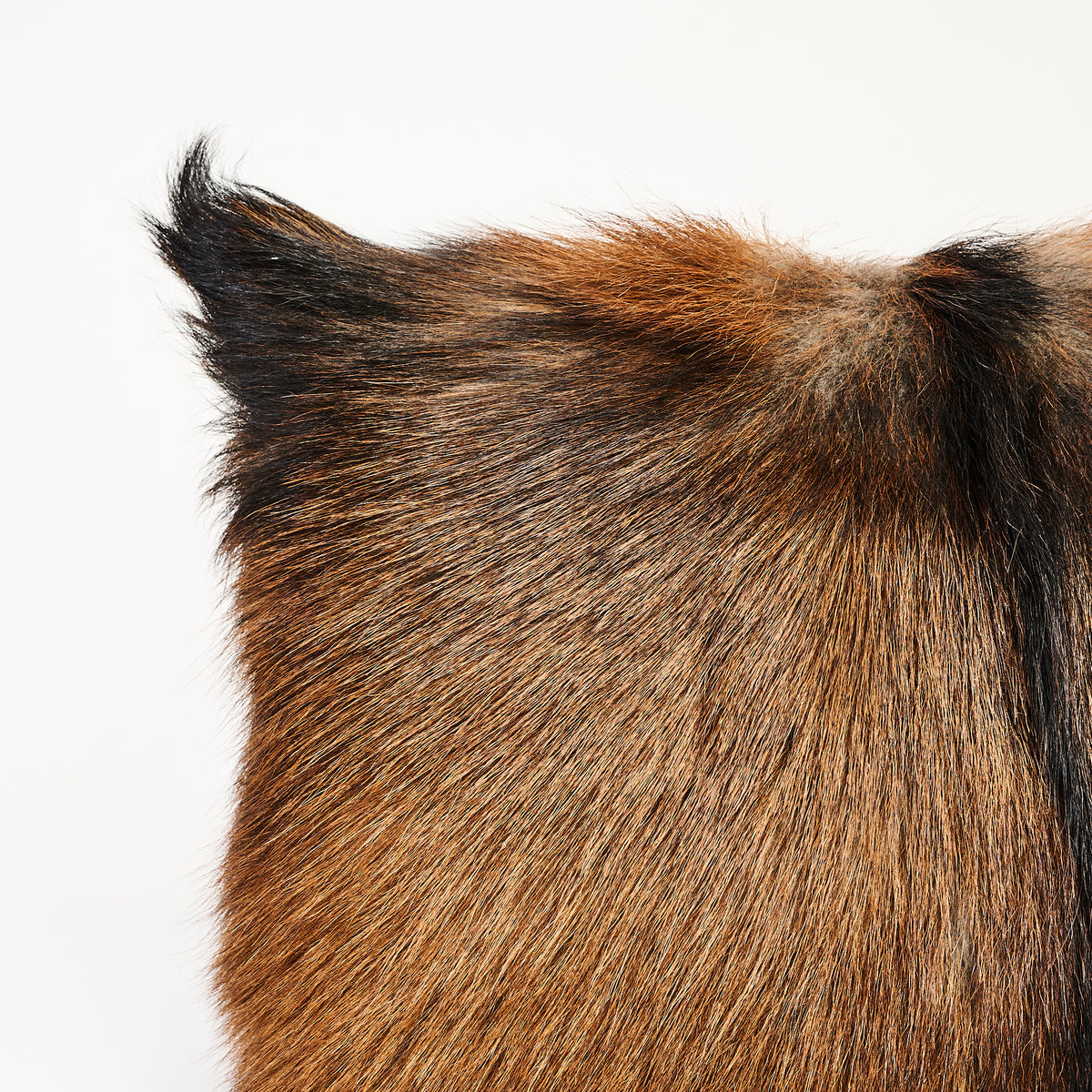 Goat Fur Pillow Lumbar Throw Pillow on a white background at Addison West