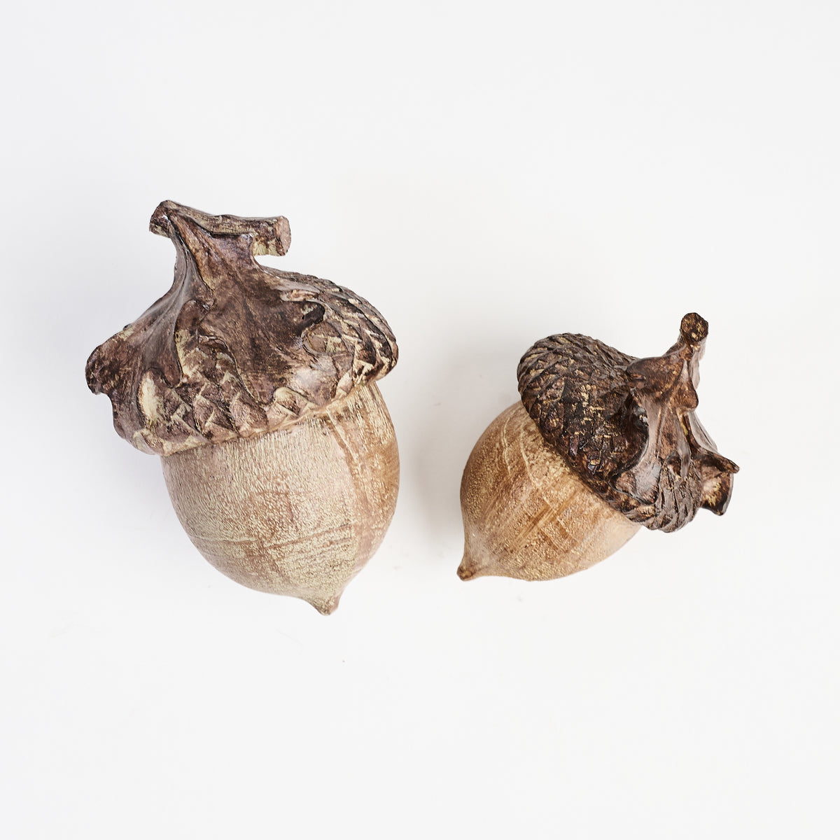 Acorn Decor on a white background at Addison West