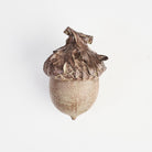 Small Acorn Decor on a white background at Addison West