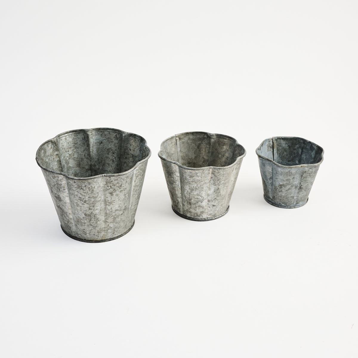 Galvanized Metal Planter With Scalloped Edge on a white background at Addison West