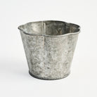 Galvanized Metal Planter With Scalloped Edge on a white background at Addison West