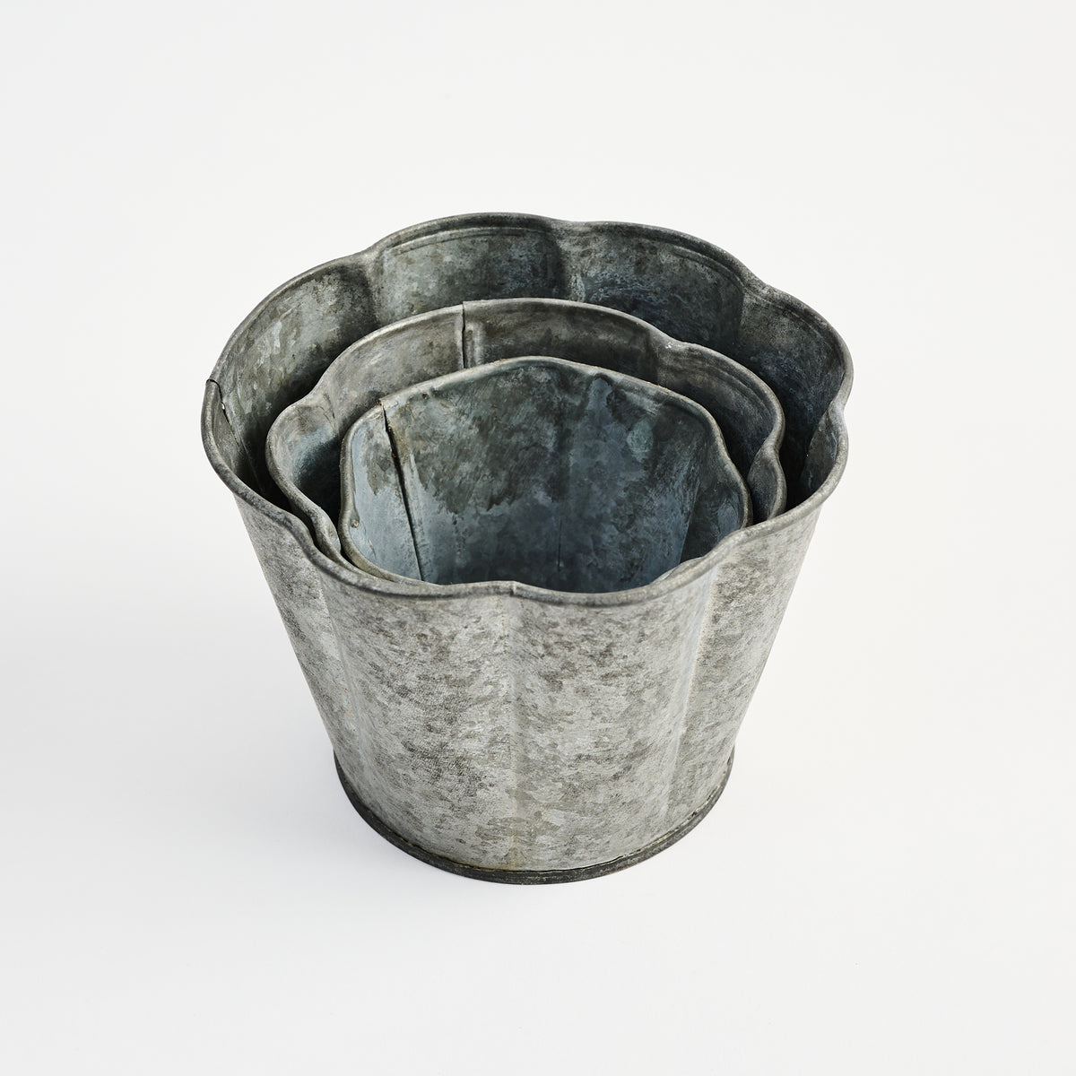 Galvanized Metal Planter With Scalloped Edge on a white background at Addison West