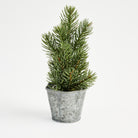 Galvanized Metal Planter With Scalloped Edge on a white background at Addison West