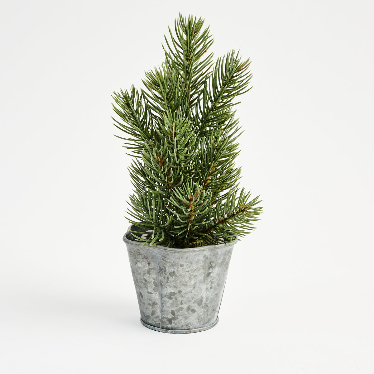 Galvanized Metal Planter With Scalloped Edge on a white background at Addison West