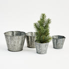 Galvanized Metal Planter With Scalloped Edge on a white background at Addison West