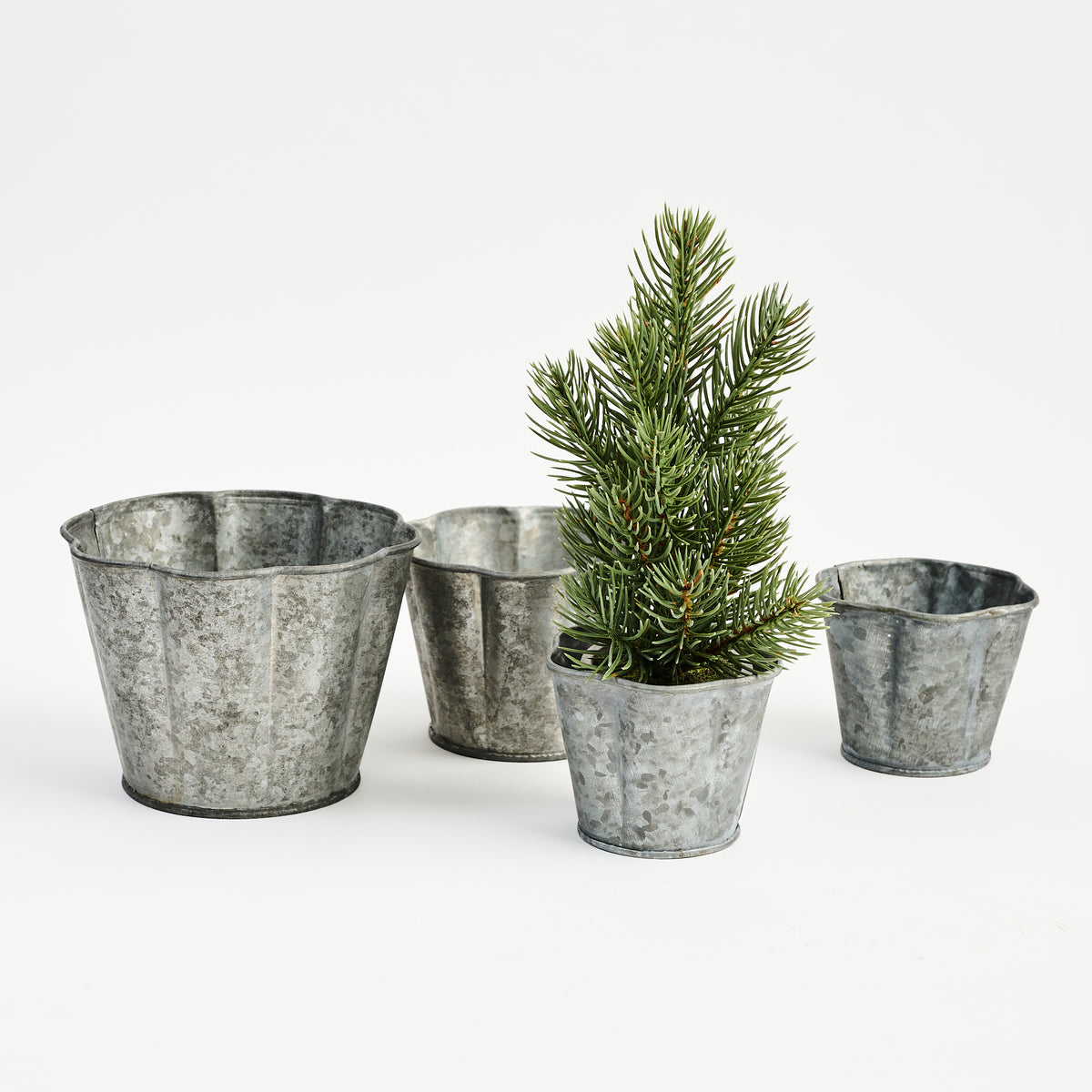 Galvanized Metal Planter With Scalloped Edge on a white background at Addison West