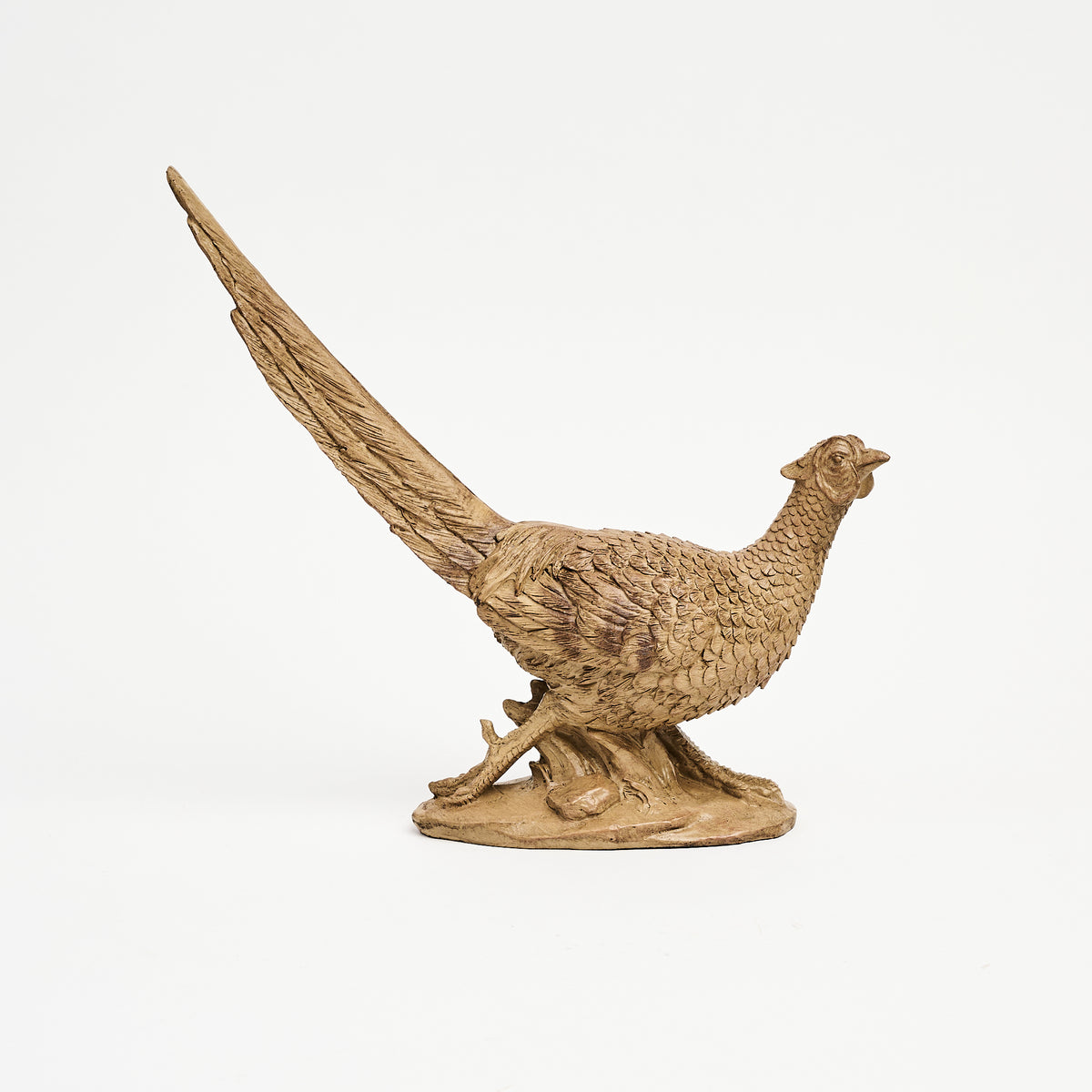 Male Pheasant Sculpture on a white background at Addison West