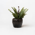 Embossed Terracotta Planter - Addison West 