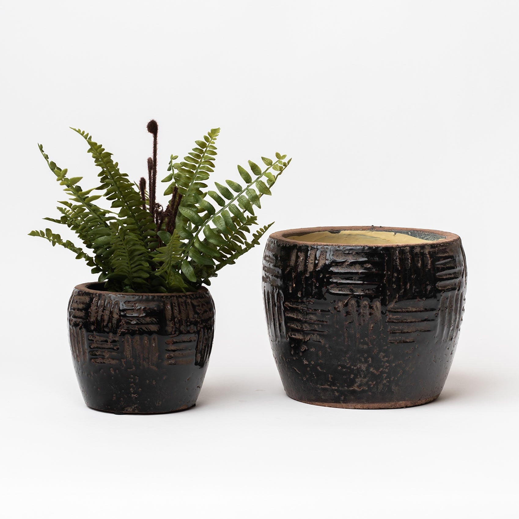 Two Brown embossed terracotta planters with fern inside on a white background