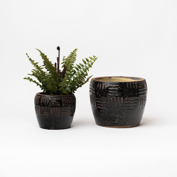 Two Brown embossed terracotta planters with fern inside on a white background