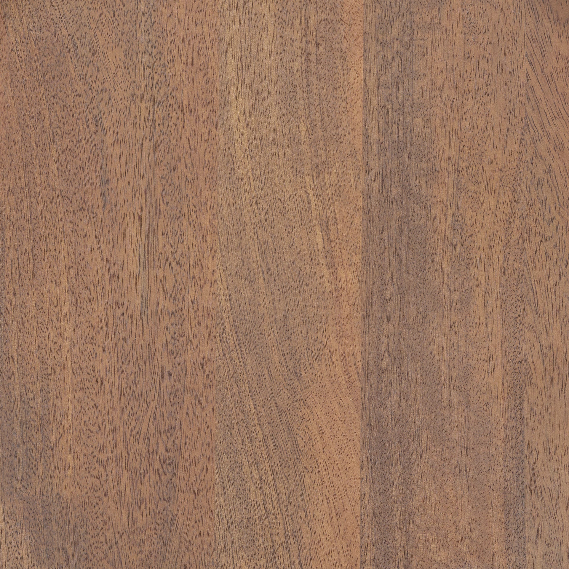 Close up of Ernest Medium Brown Wood Counter Stool 
