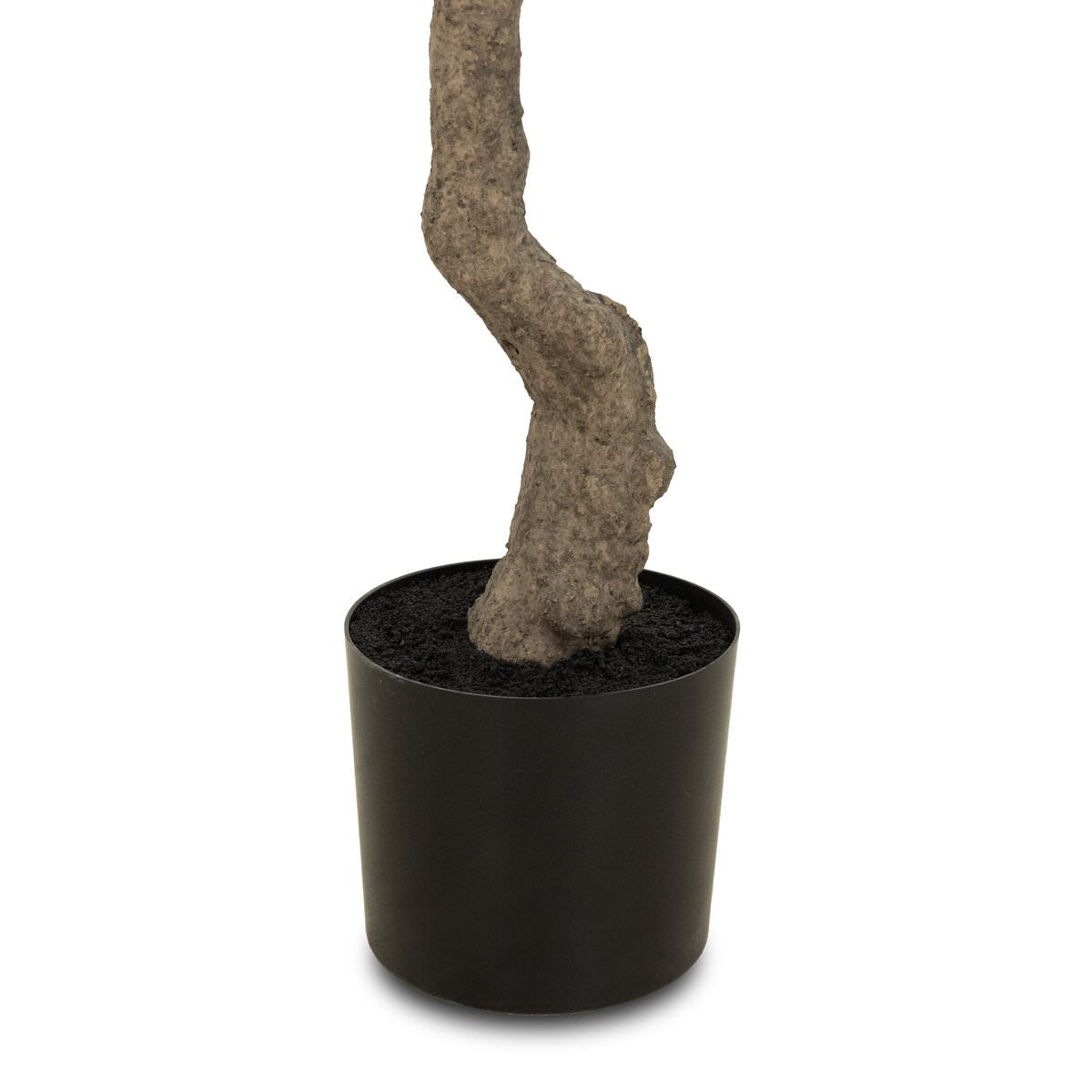 Close up of Faux Olive Tree on a white background at Addison West