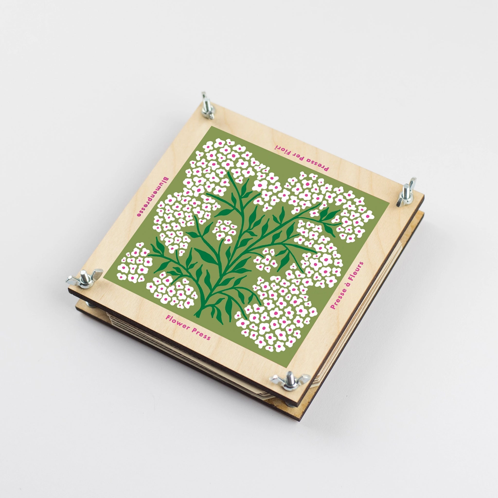 Flower press with image of forget me not flowers painted on the front on a white background