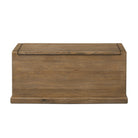 Back of Four Hands Arizona Trunk in Weathered Oak on a white background at Addison West