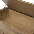 Four Hands Arizona Trunk in Weathered Oak on a white background at Addison West