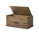 Four Hands Arizona Trunk in Weathered Oak on a white background at Addison West