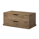 Four Hands Arizona Trunk in Weathered Oak on a white background at Addison West