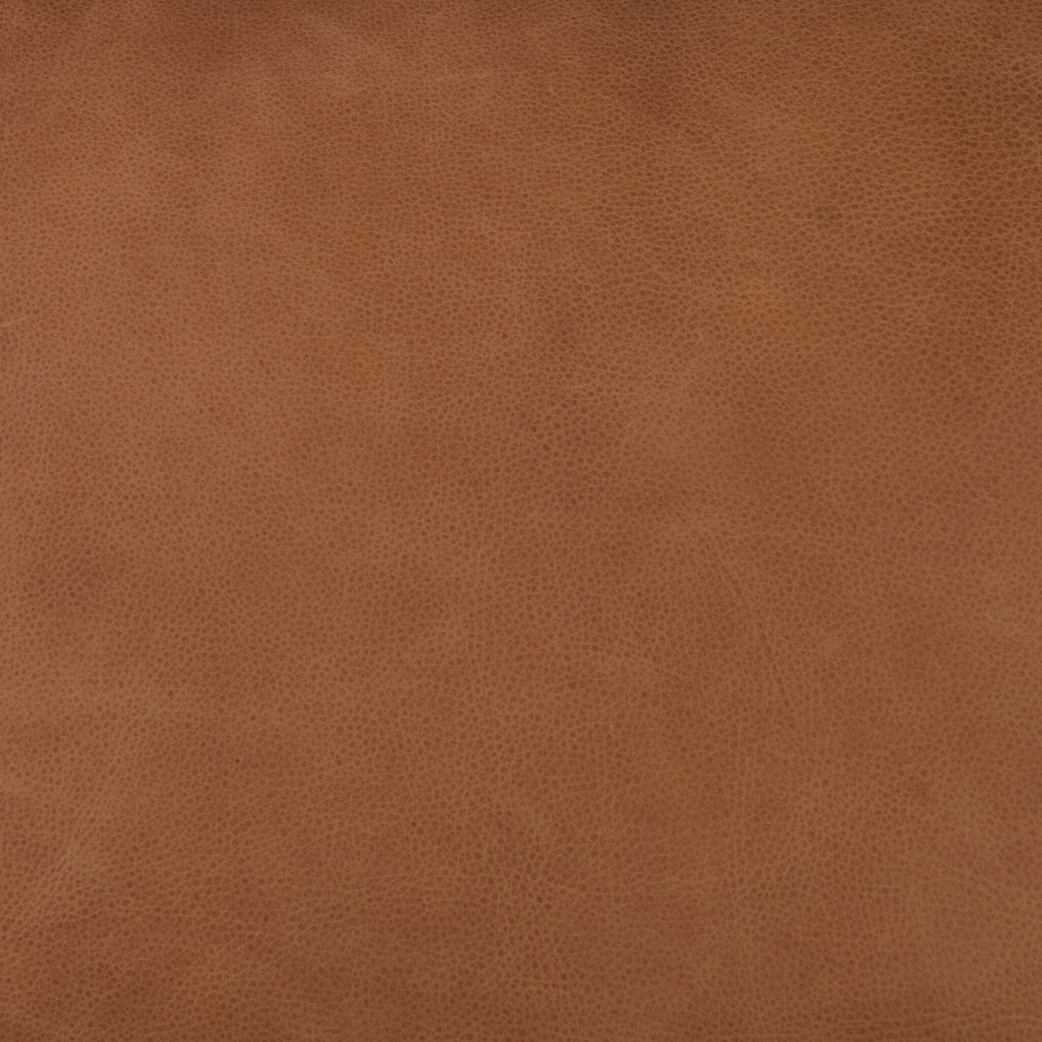 Close up of fabric on the Four Hands Kennedy Chair in Palermo Cognac at Addison West.