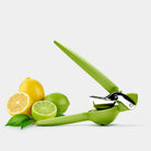 FreshForce Citrus Juicer in Green on plain background at Addison West.