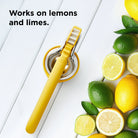FreshForce Citrus Juicer in Yellow on plain background at Addison West.