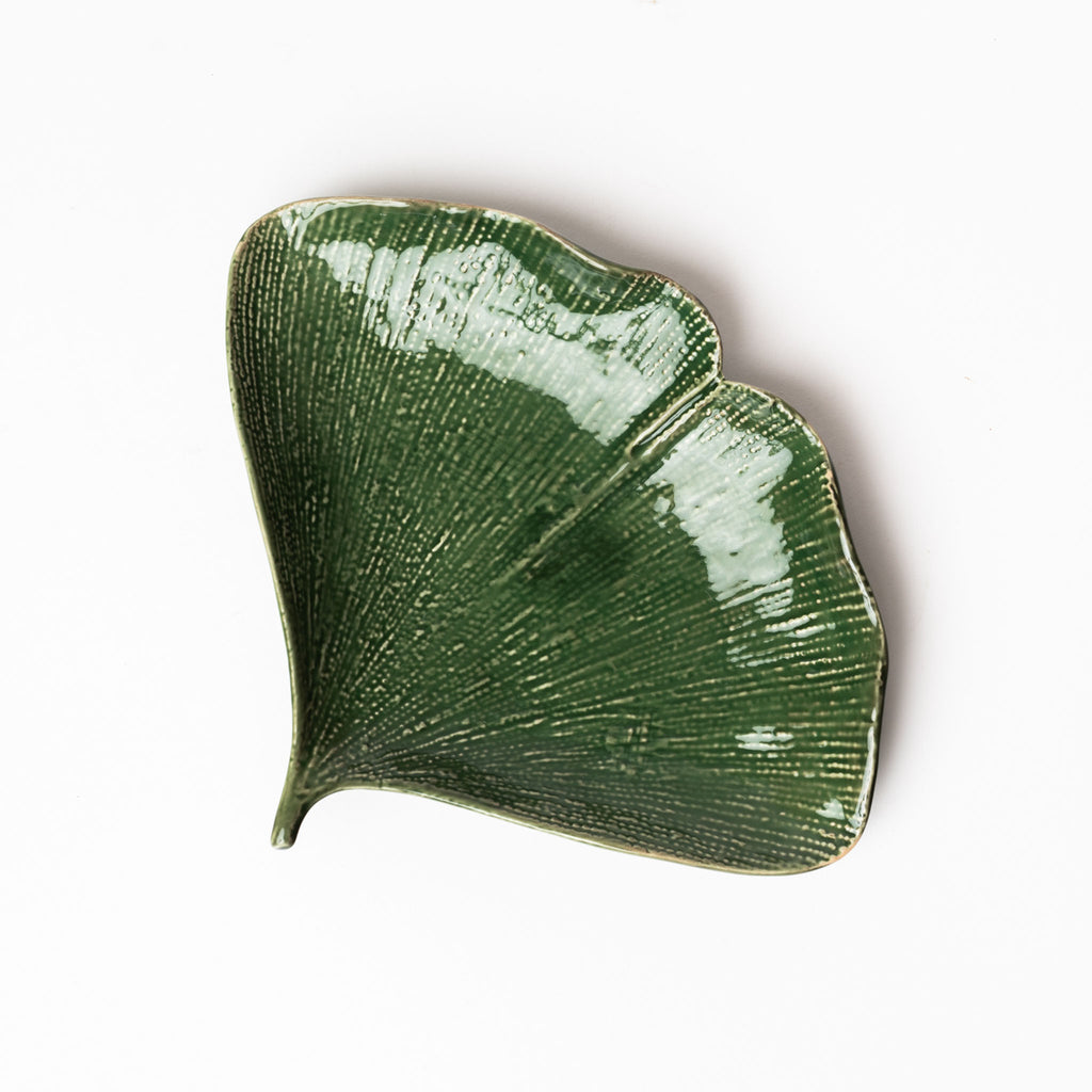 Large green Ginko leaf plate on a white background