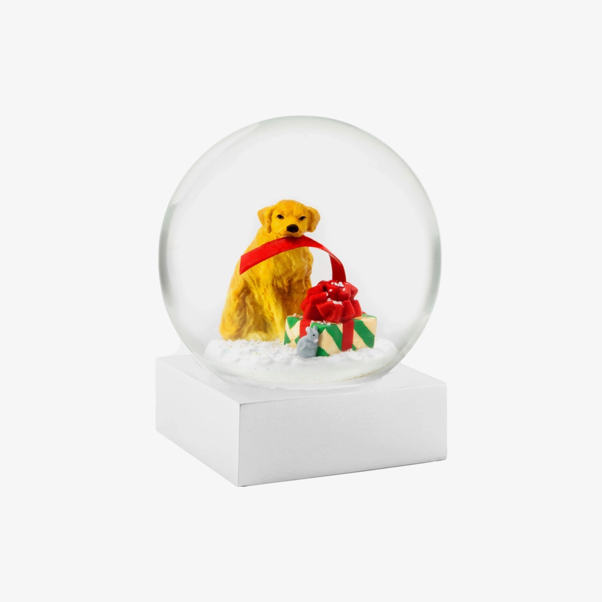 Snow globe with golden retriever with boxes and mouse on a white base and white background