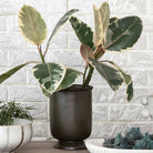 Footed Vintage Green Glazed Vase - Addison West 