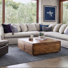 Four Hands Duncan Storage Coffee Table in Reclaimed Fruitwood in a modern living room