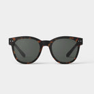 Izipizi #N Tortoise Sunglasses on a white background at Addison West