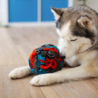 Dog playing with a colorful foraging ball toy on a wooden floor.